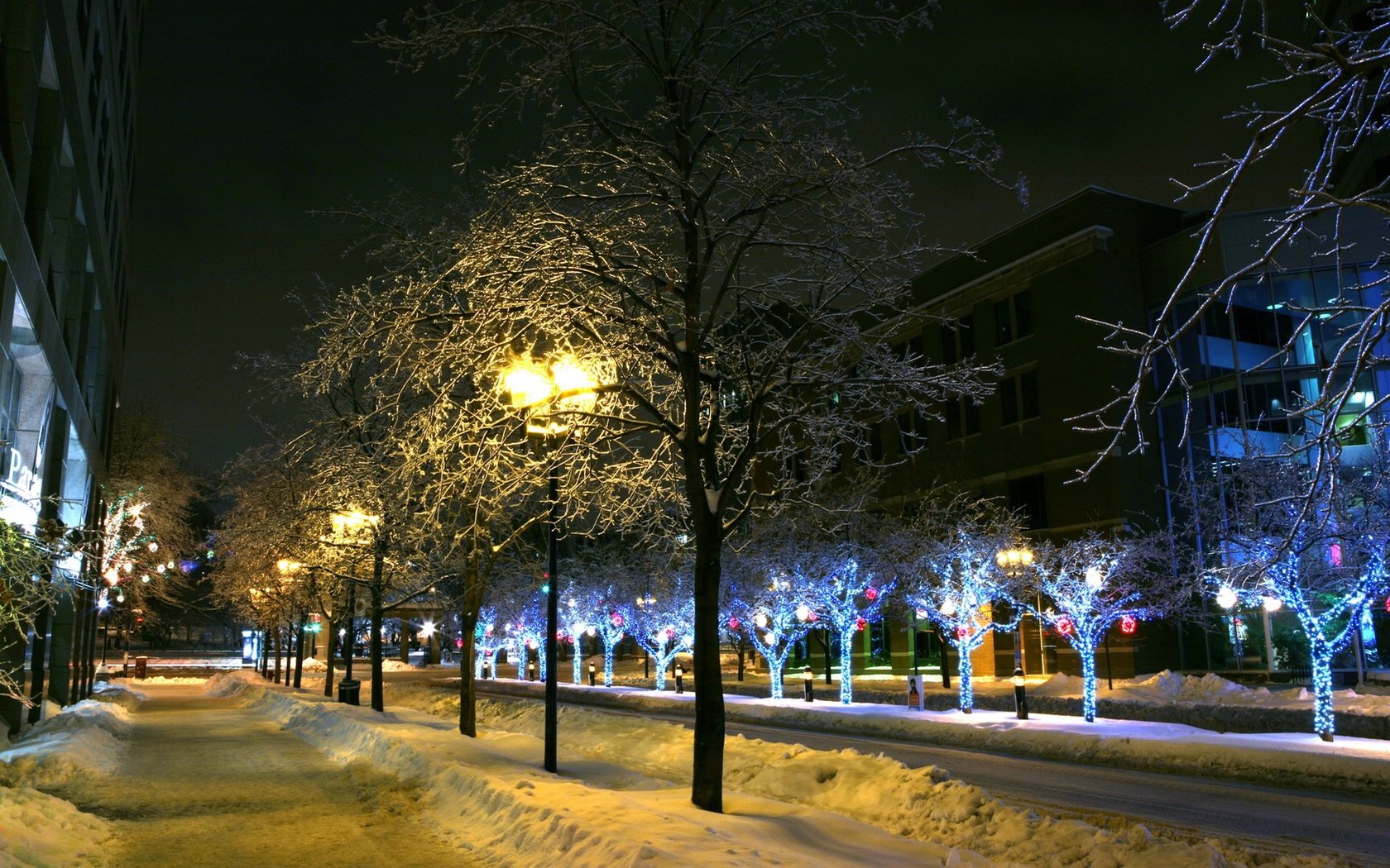 Обои деревья, фонари, огни, снег, зима, город, trees, lights, snow, winter, the city разрешение 2560x1600 Загрузить