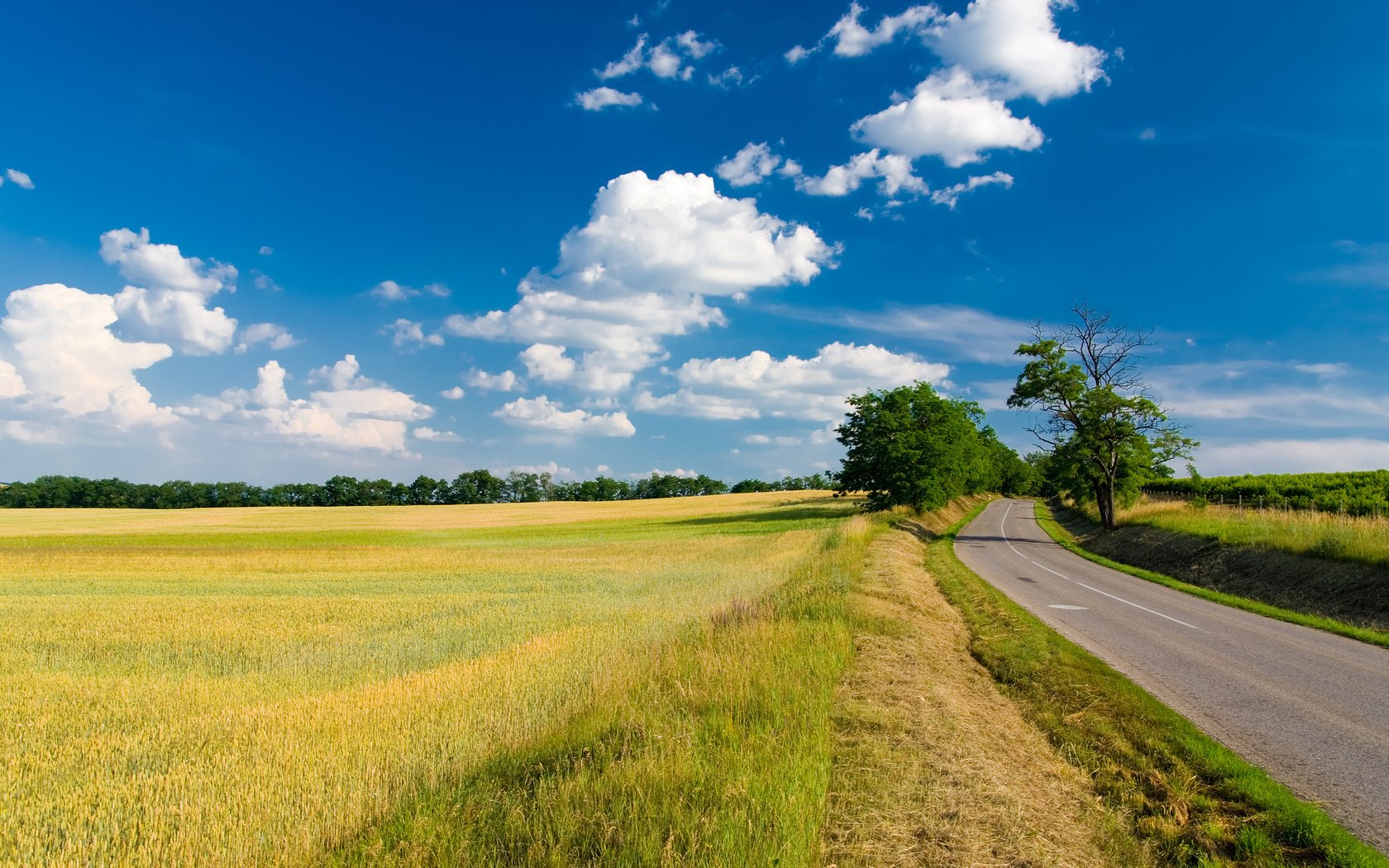 Обои небо, дорога, трава, облака, деревья, поле, лето, the sky, road, grass, clouds, trees, field, summer разрешение 2560x1600 Загрузить