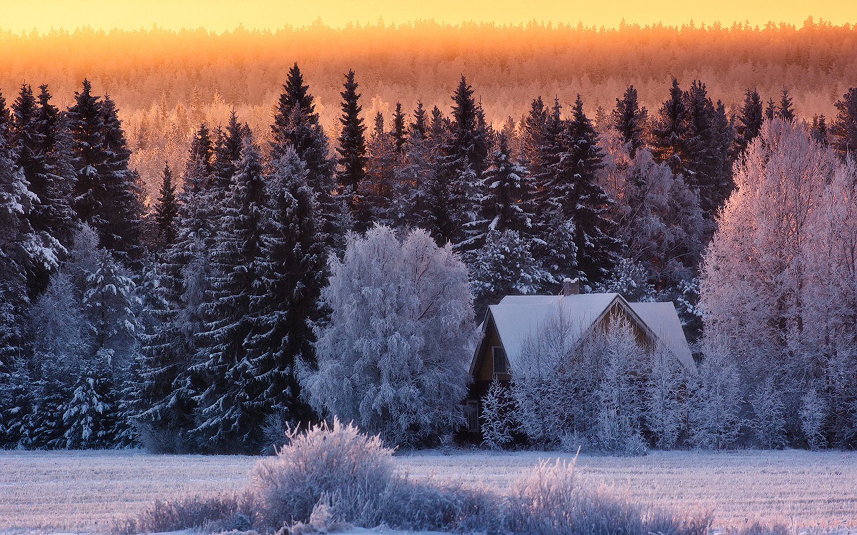 Обои природа, лес, зима, дом, nature, forest, winter, house разрешение 1920x1200 Загрузить