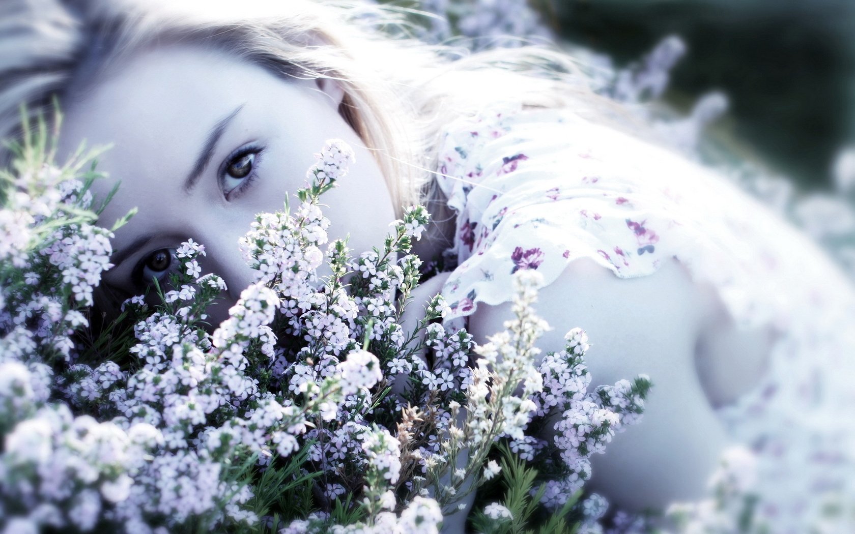 Обои цветы, девушка, блондинка, взгляд, лицо, полевые цветы, flowers, girl, blonde, look, face, wildflowers разрешение 1920x1200 Загрузить