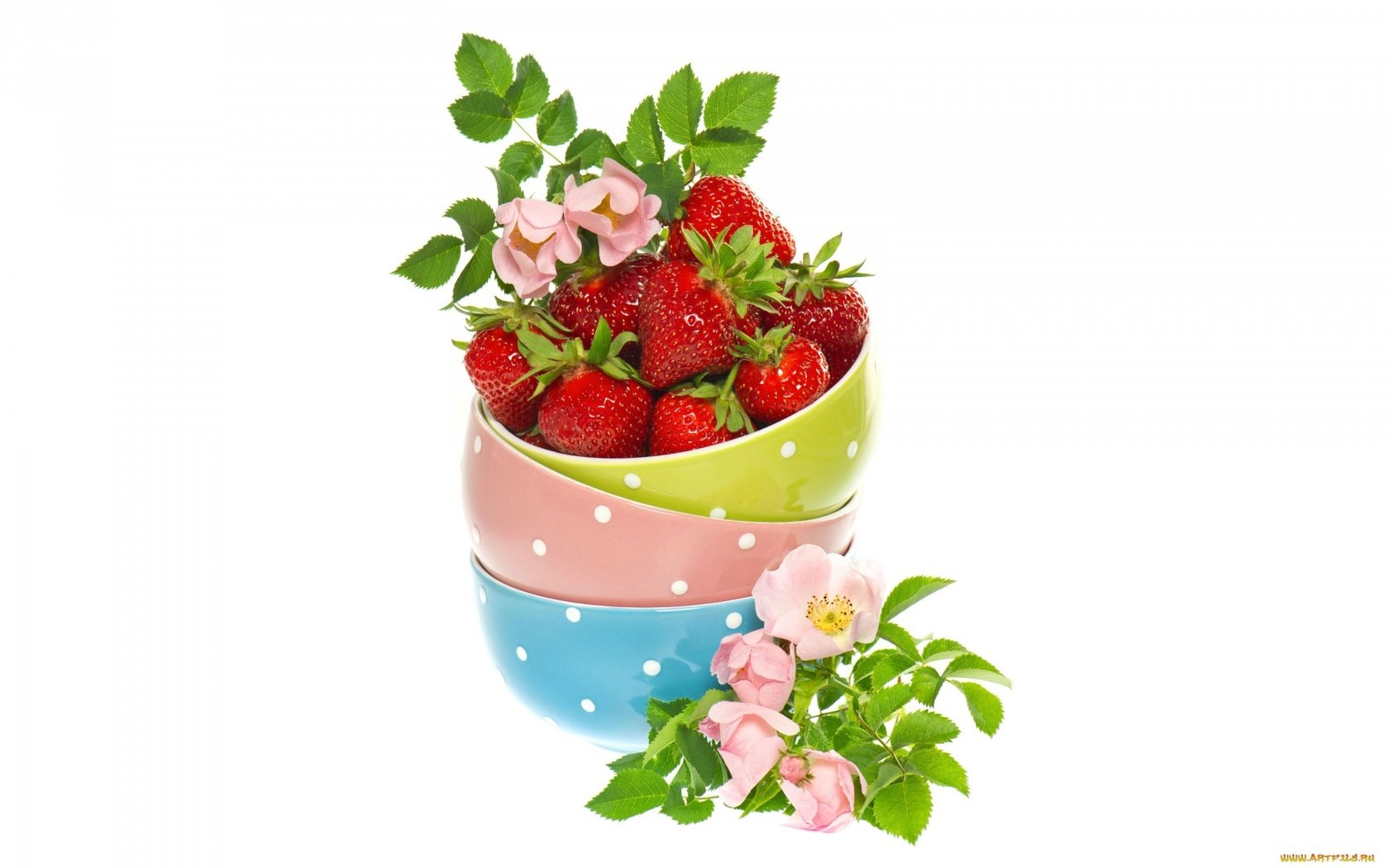 Обои ягода, клубника, шиповник, миски, berry, strawberry, briar, bowls разрешение 1920x1200 Загрузить