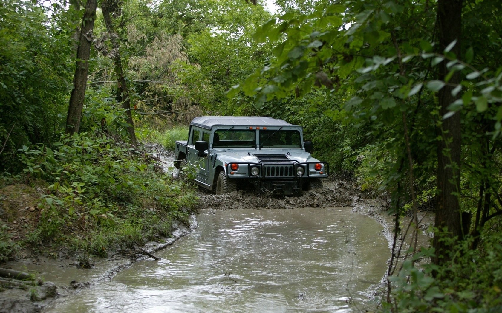 Обои лес, внедорожник, hummer, гражданский, h1, forest, suv, civil разрешение 1920x1080 Загрузить