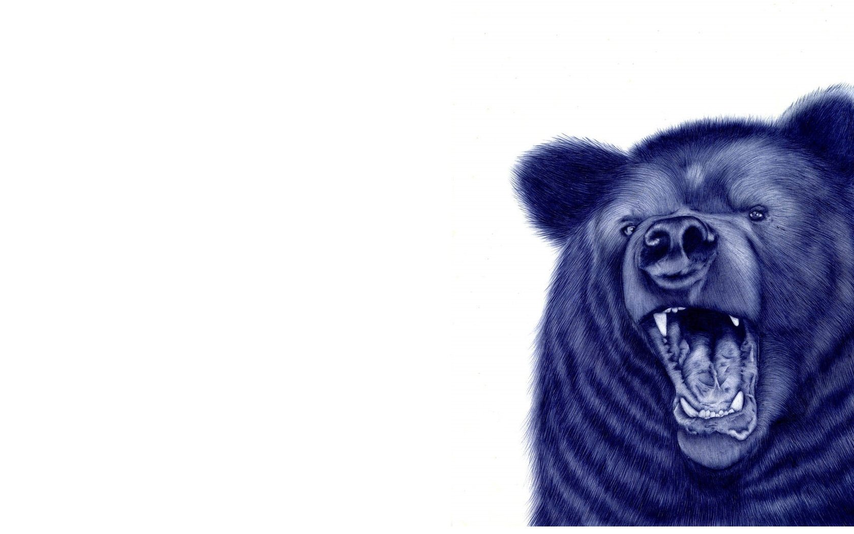 Обои морда, рисунок, фон, медведь, пасть, face, figure, background, bear, mouth разрешение 1920x1134 Загрузить