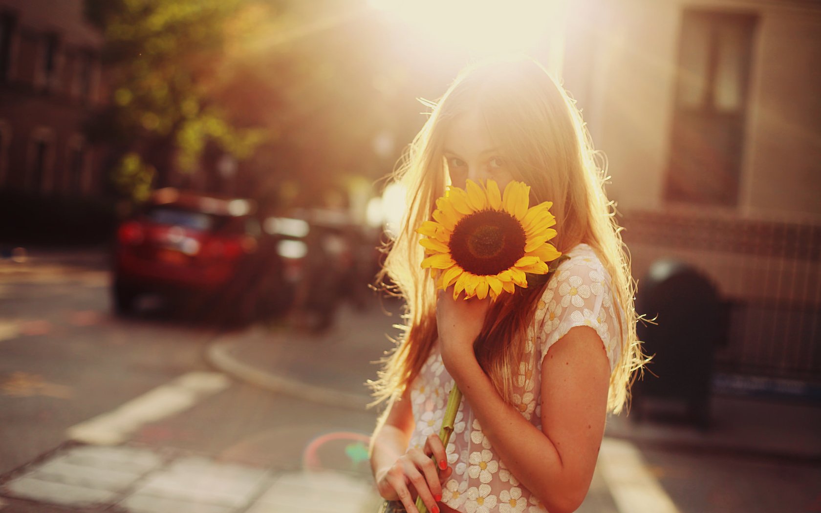 Обои девушка, настроение, блондинка, подсолнух, girl, mood, blonde, sunflower разрешение 2048x1365 Загрузить