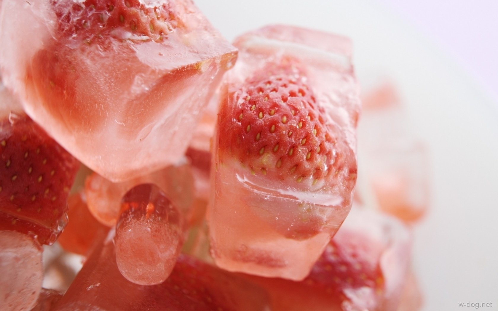 Обои макро, ягода, клубника, лёд, macro, berry, strawberry, ice разрешение 1920x1200 Загрузить