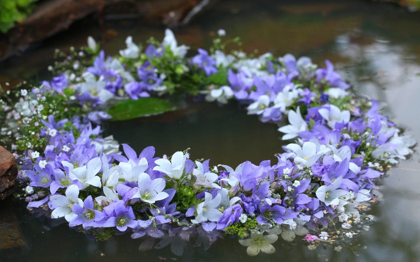 Обои цветы, вода, белые, колокольчики, венок, сиреневые, flowers, water, white, bells, wreath, lilac разрешение 1920x1280 Загрузить