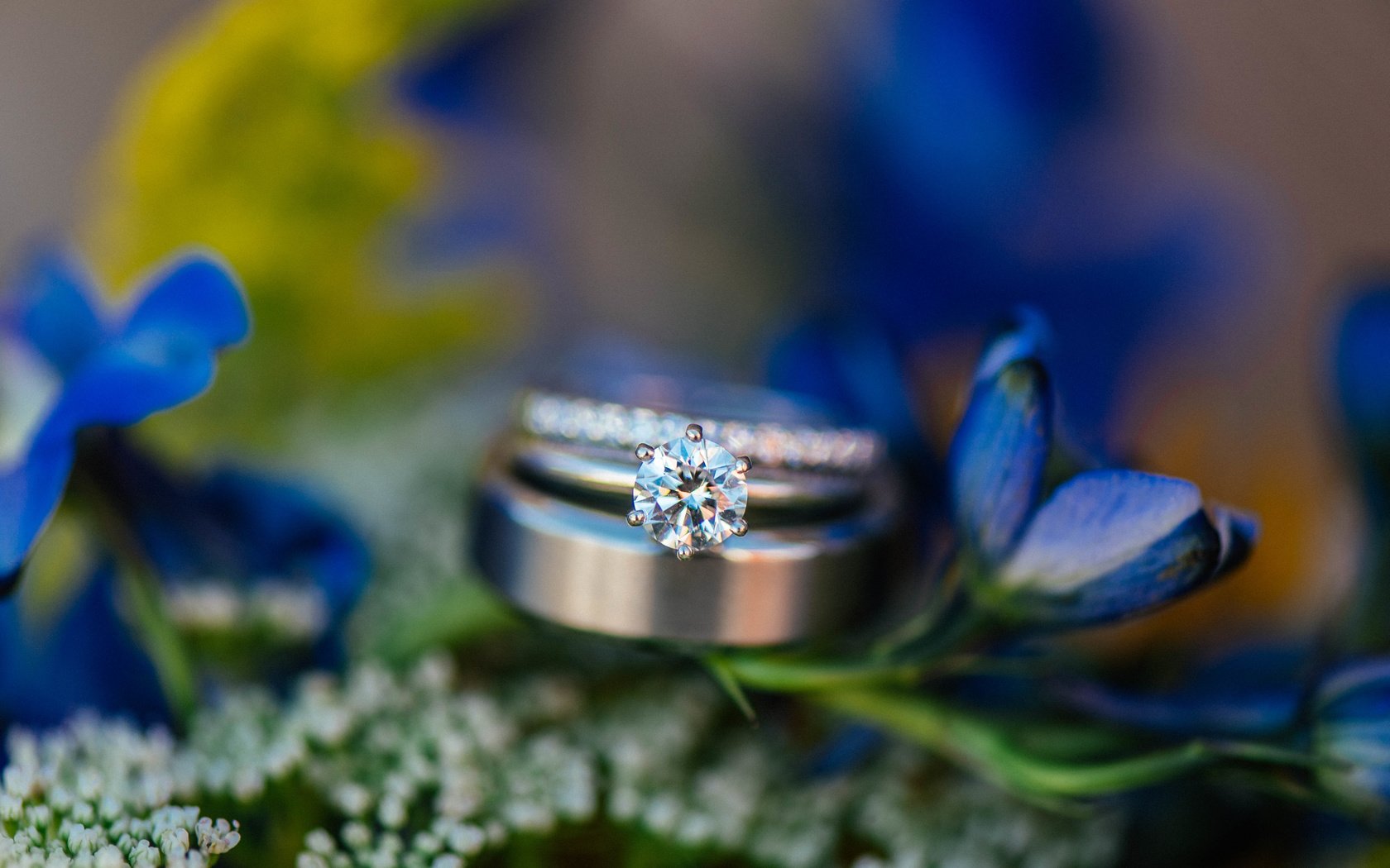 Обои цветы, камень, кольцо, обручальное, синие лепестки, flowers, stone, ring, wedding, blue petals разрешение 6016x4016 Загрузить