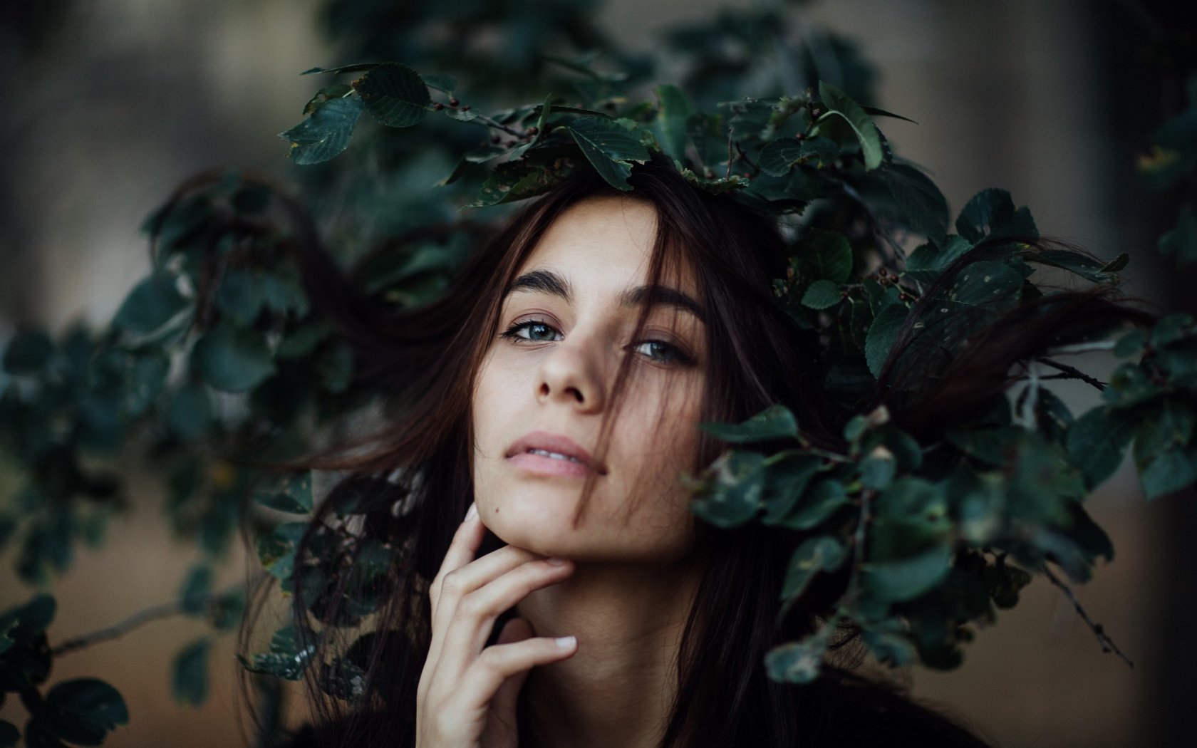 Обои листья, девушка, взгляд, модель, венок, эшли, jesse herzog, leaves, girl, look, model, wreath, ashley разрешение 2172x1448 Загрузить