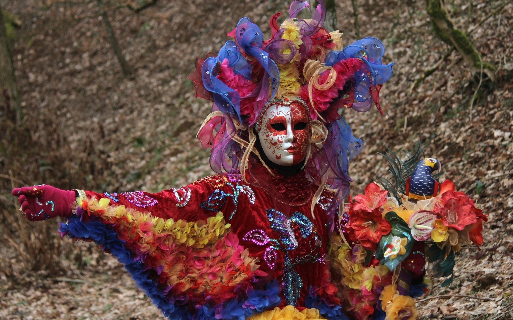 Обои маска, венеция, костюм, попугай, карнавал, mask, venice, costume, parrot, carnival разрешение 2400x1511 Загрузить