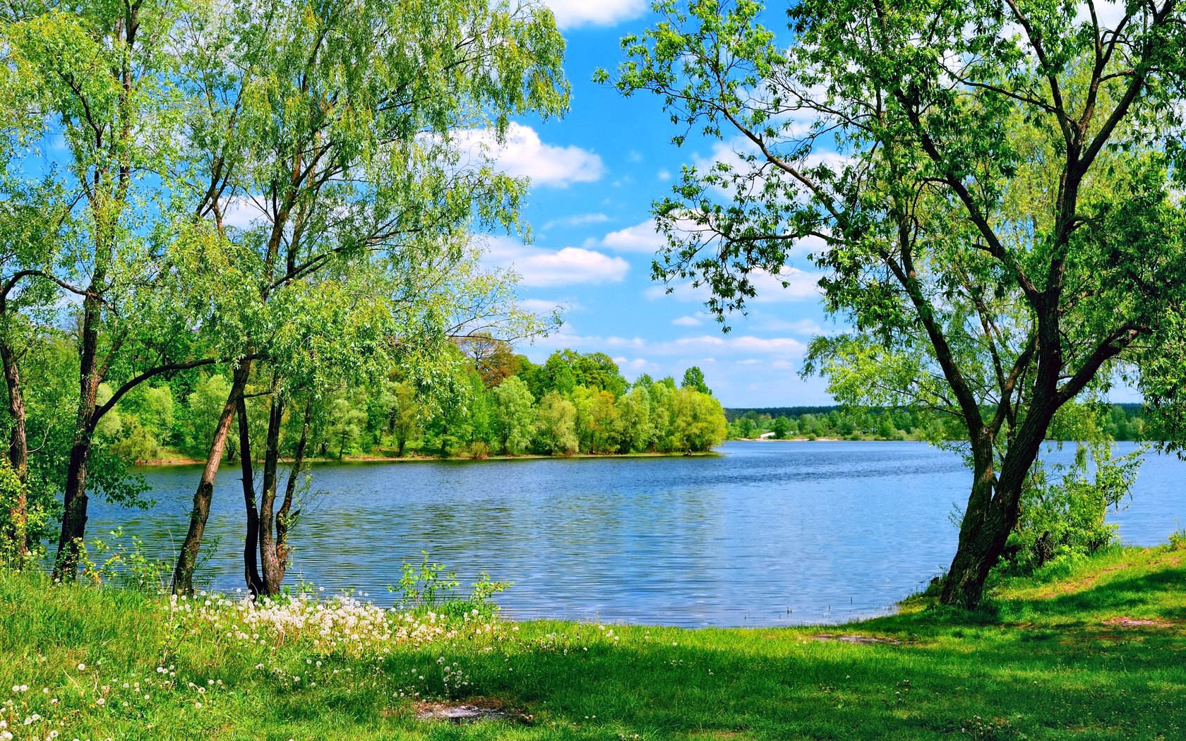 Обои небо, деревья, озеро, природа, лето, the sky, trees, lake, nature, summer разрешение 2400x1600 Загрузить