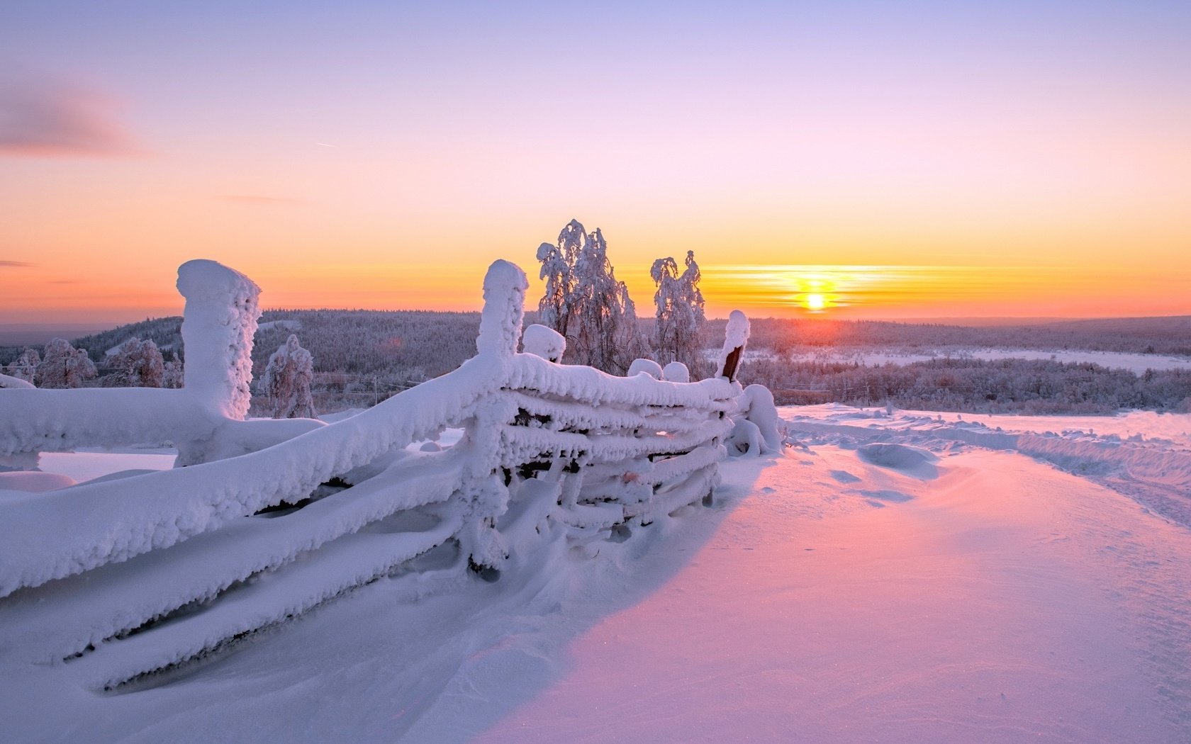 Обои солнце, снег, природа, зима, фон, забор, розовое небо, the sun, snow, nature, winter, background, the fence, pink sky разрешение 2560x1440 Загрузить