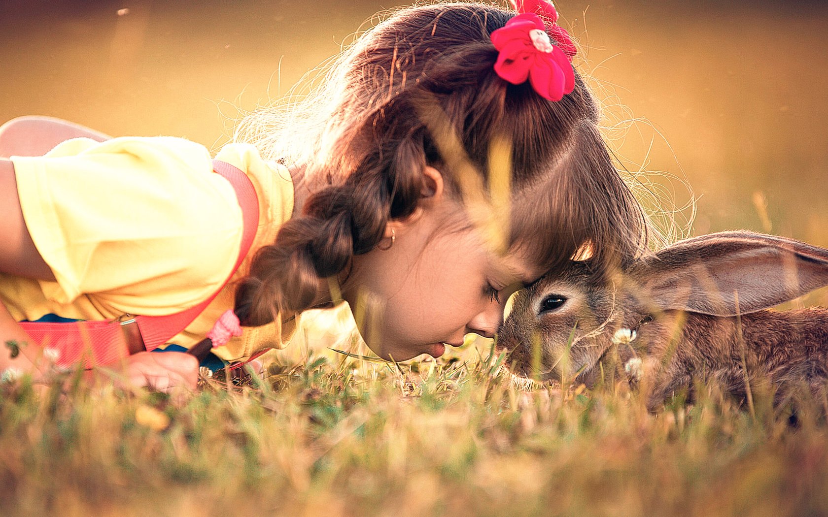 Обои трава, девочка, ребенок, кролик, животное, дружба, заяц, grass, girl, child, rabbit, animal, friendship, hare разрешение 2000x1125 Загрузить