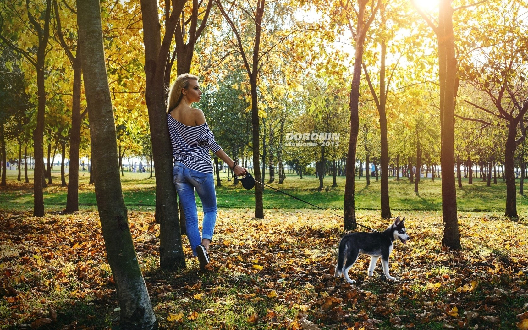 Обои деревья, фотограф, собаку, солнце, хаски, листья, прическа, девушка, фигура, парк, майка, блондинка, поводок, осень, тельняшка, джинсы, denis doronin, выгуливает, walks, trees, photographer, the dog, the sun, husky, leaves, hairstyle, girl, figure, park, mike, blonde, leash, autumn, vest, jeans разрешение 2560x1680 Загрузить