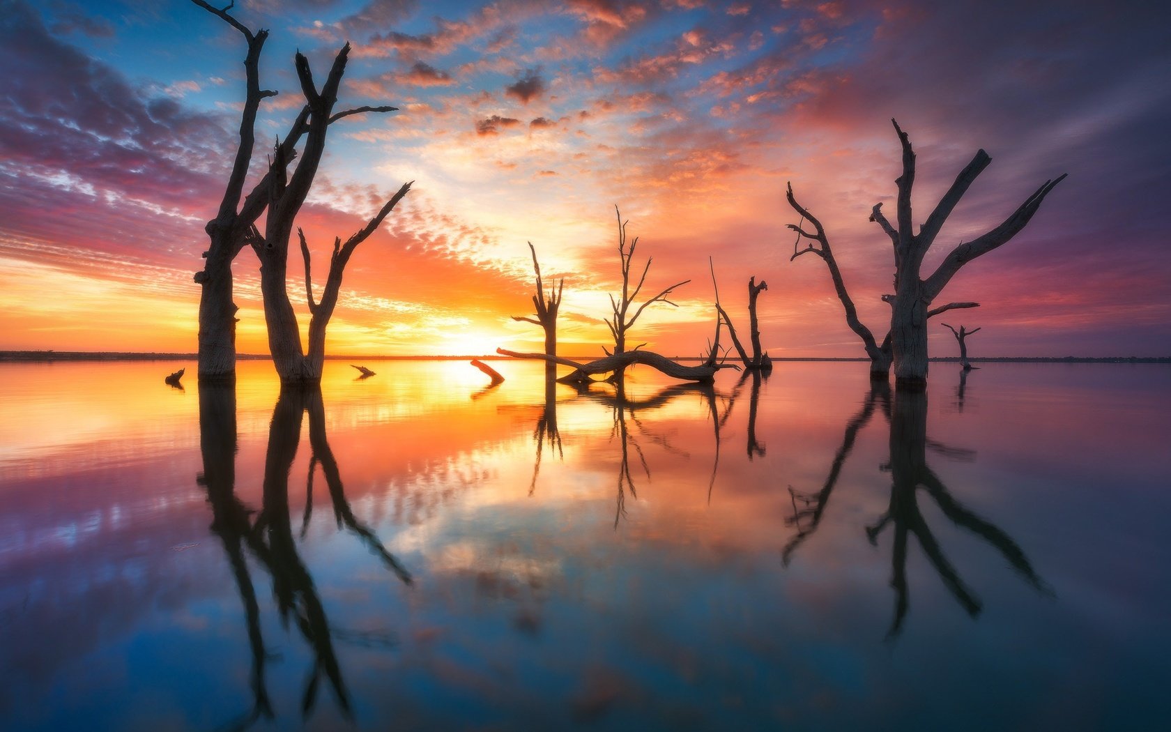 Обои небо, австралия, свет, деревья, вода, вечер, солнце, природа, отражение, the sky, australia, light, trees, water, the evening, the sun, nature, reflection разрешение 2048x1366 Загрузить