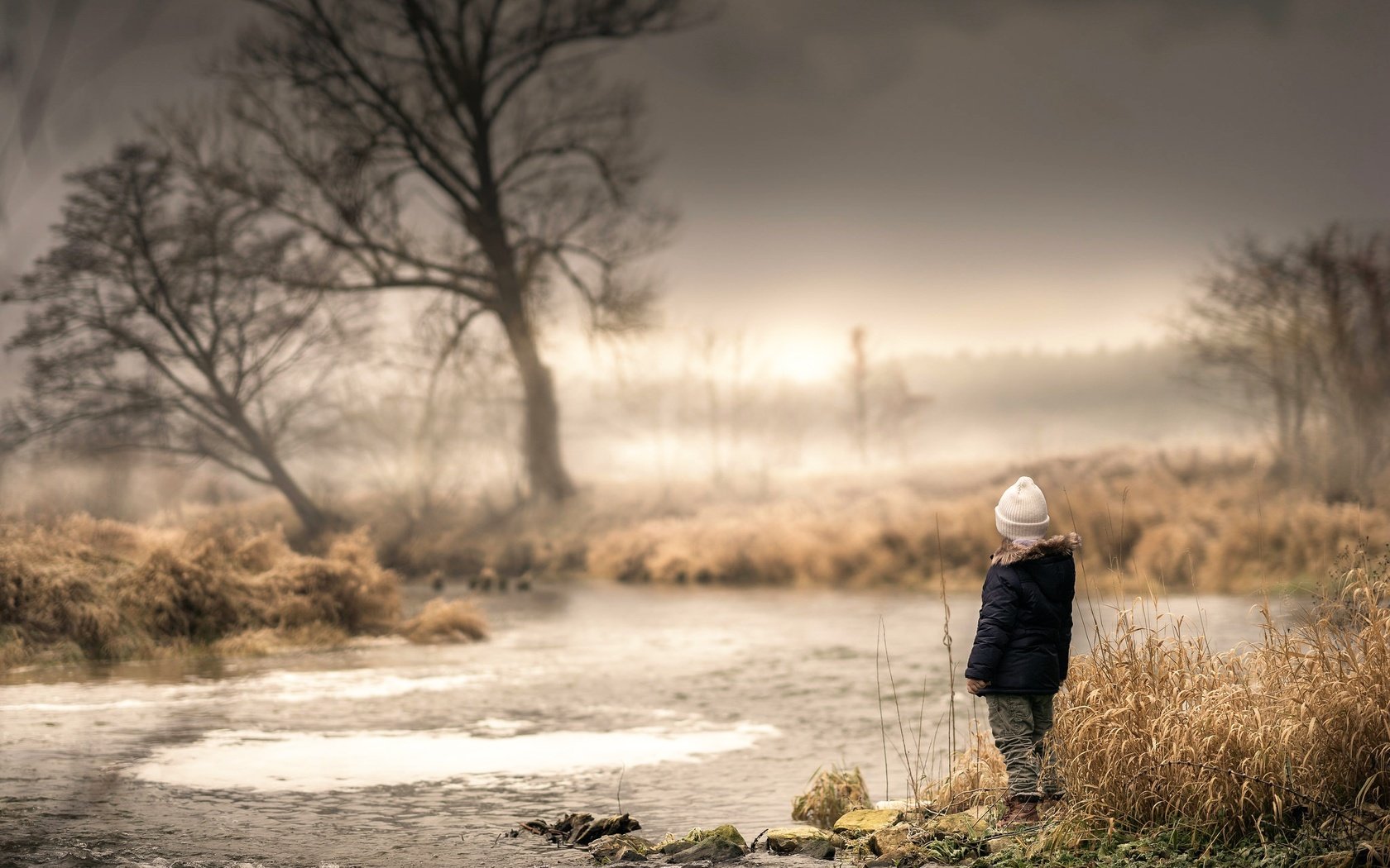 Обои вода, дерево, ручей, дети, ребенок, течение, сухостой, water, tree, stream, children, child, for, deadwood разрешение 2048x2042 Загрузить