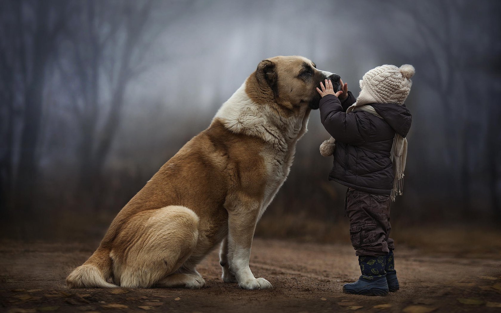 Обои лес, собака, дети, ребенок, дружба, forest, dog, children, child, friendship разрешение 1920x1200 Загрузить