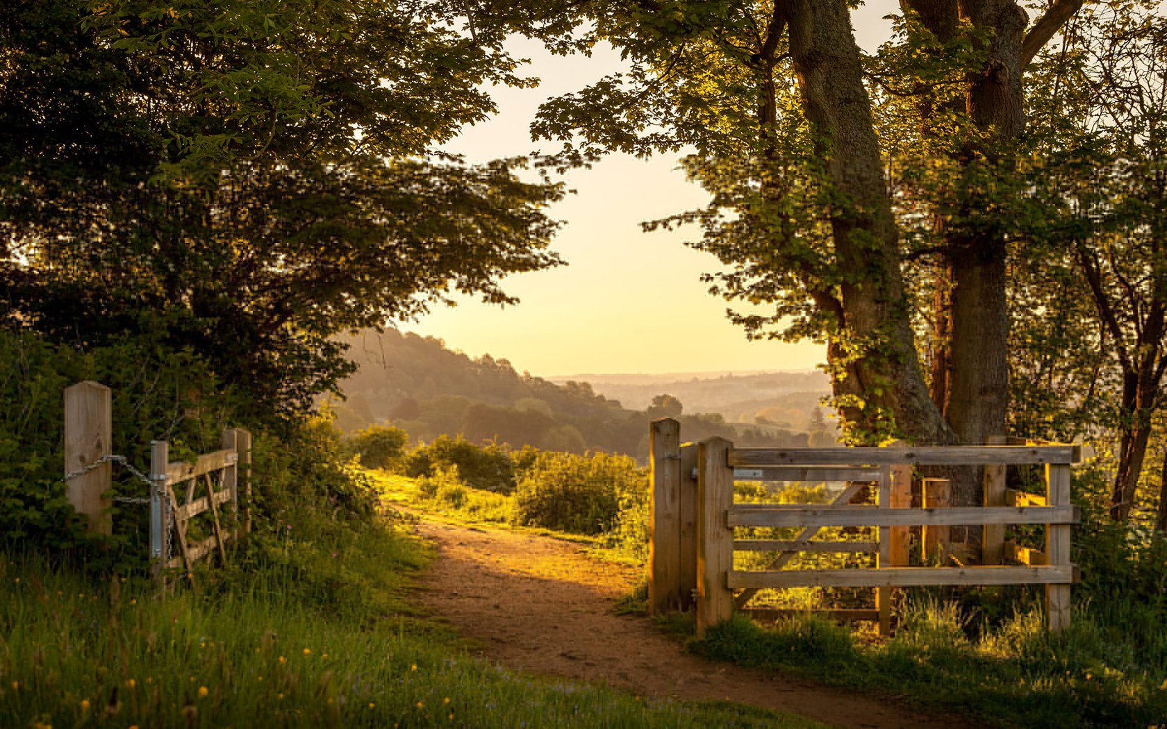 Обои дорога, ворота, деревья, англия, природа, the british countryside, растения, пейзаж, парк, лето, забор, road, gate, trees, england, nature, plants, landscape, park, summer, the fence разрешение 1920x1200 Загрузить