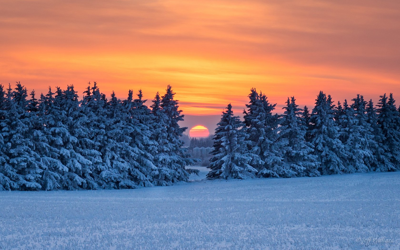 Обои снег, природа, лес, закат, зима, snow, nature, forest, sunset, winter разрешение 1920x1200 Загрузить