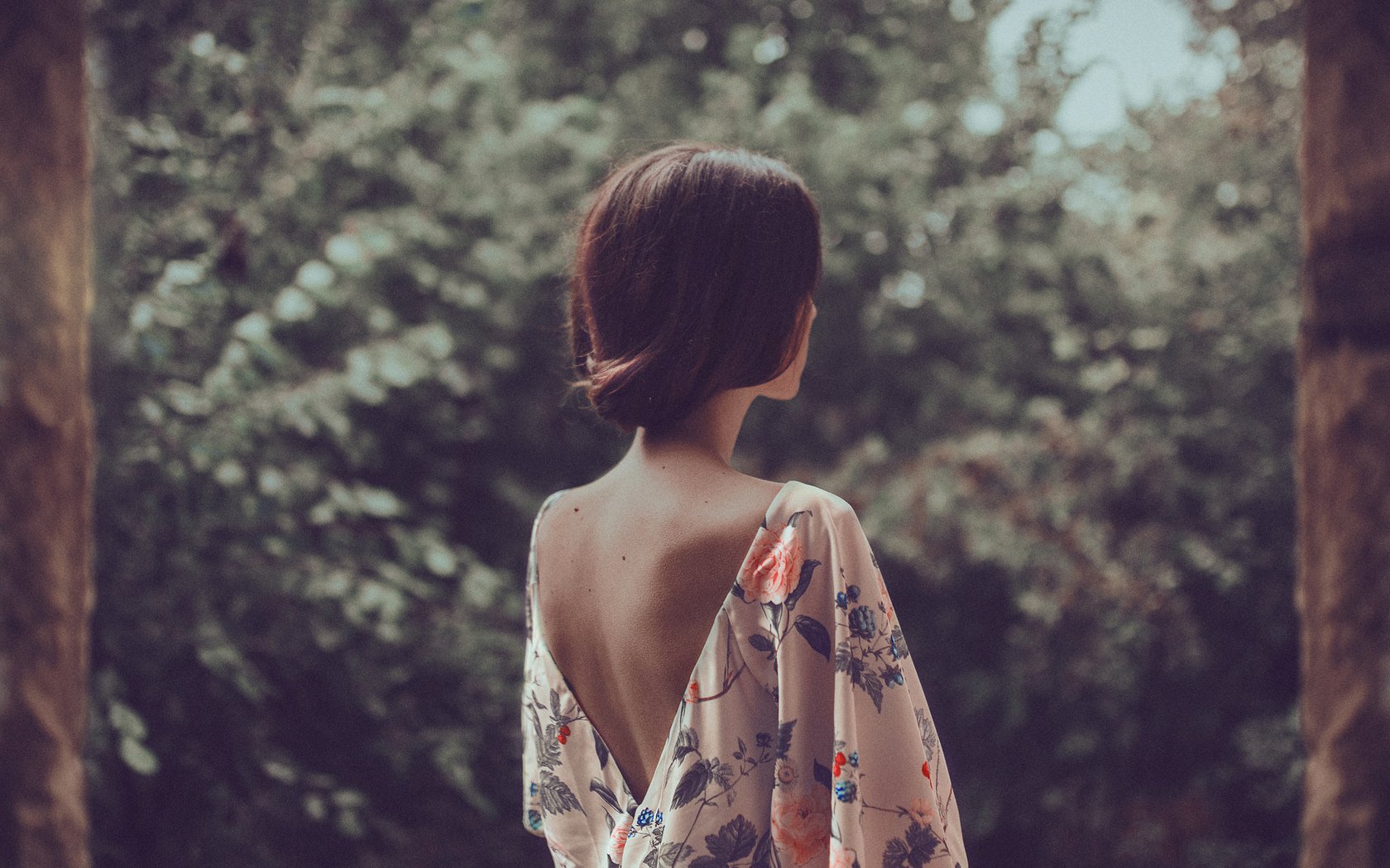 Обои природа, девушка, платье, спина, волосы, mara saiz, nature, girl, dress, back, hair разрешение 2048x1365 Загрузить