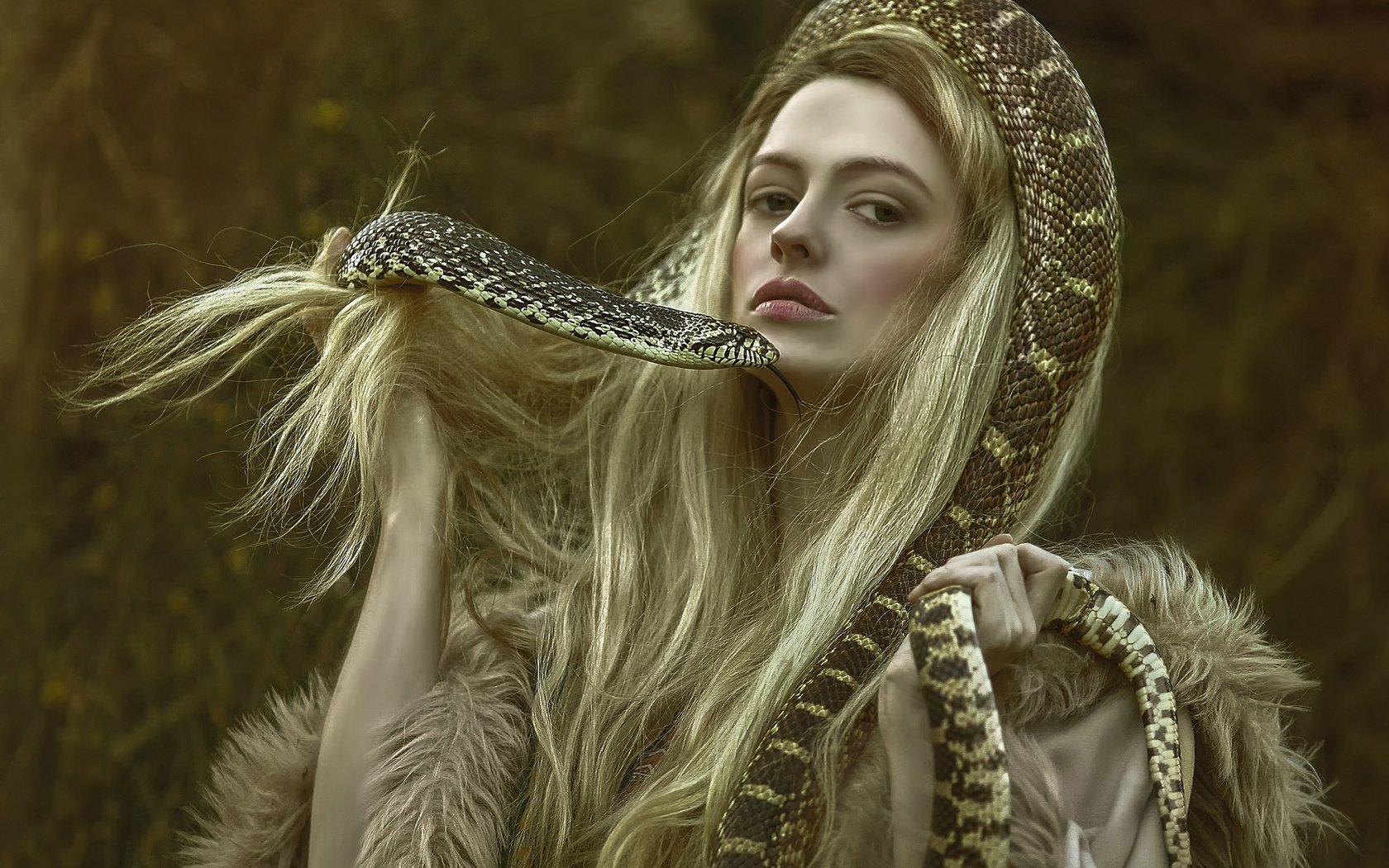 Обои девушка, фэнтези, змея, волосы, персонаж, фотосессия, agnieszka lorek, girl, fantasy, snake, hair, character, photoshoot разрешение 2048x1618 Загрузить