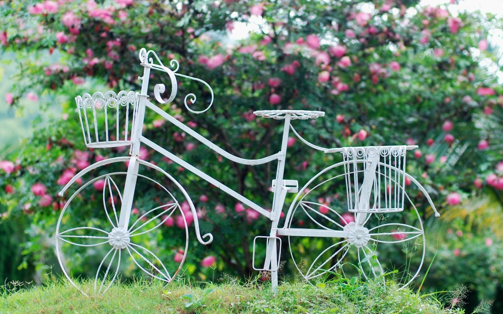 Обои цветы, трава, листья, фон, колеса, корзина, велосипед, flowers, grass, leaves, background, wheel, basket, bike разрешение 1920x1080 Загрузить