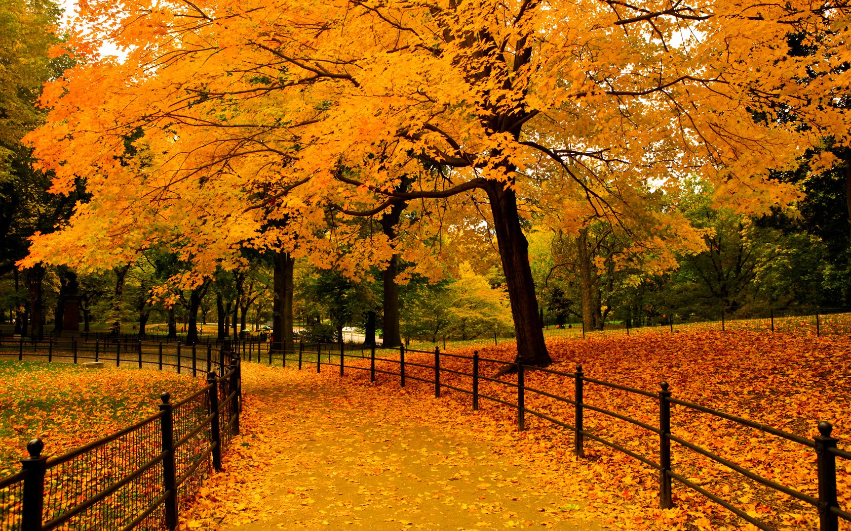 Обои деревья, природа, листья, парк, осень, забор, аллея, ramoncito roman bucud, trees, nature, leaves, park, autumn, the fence, alley разрешение 3840x2400 Загрузить