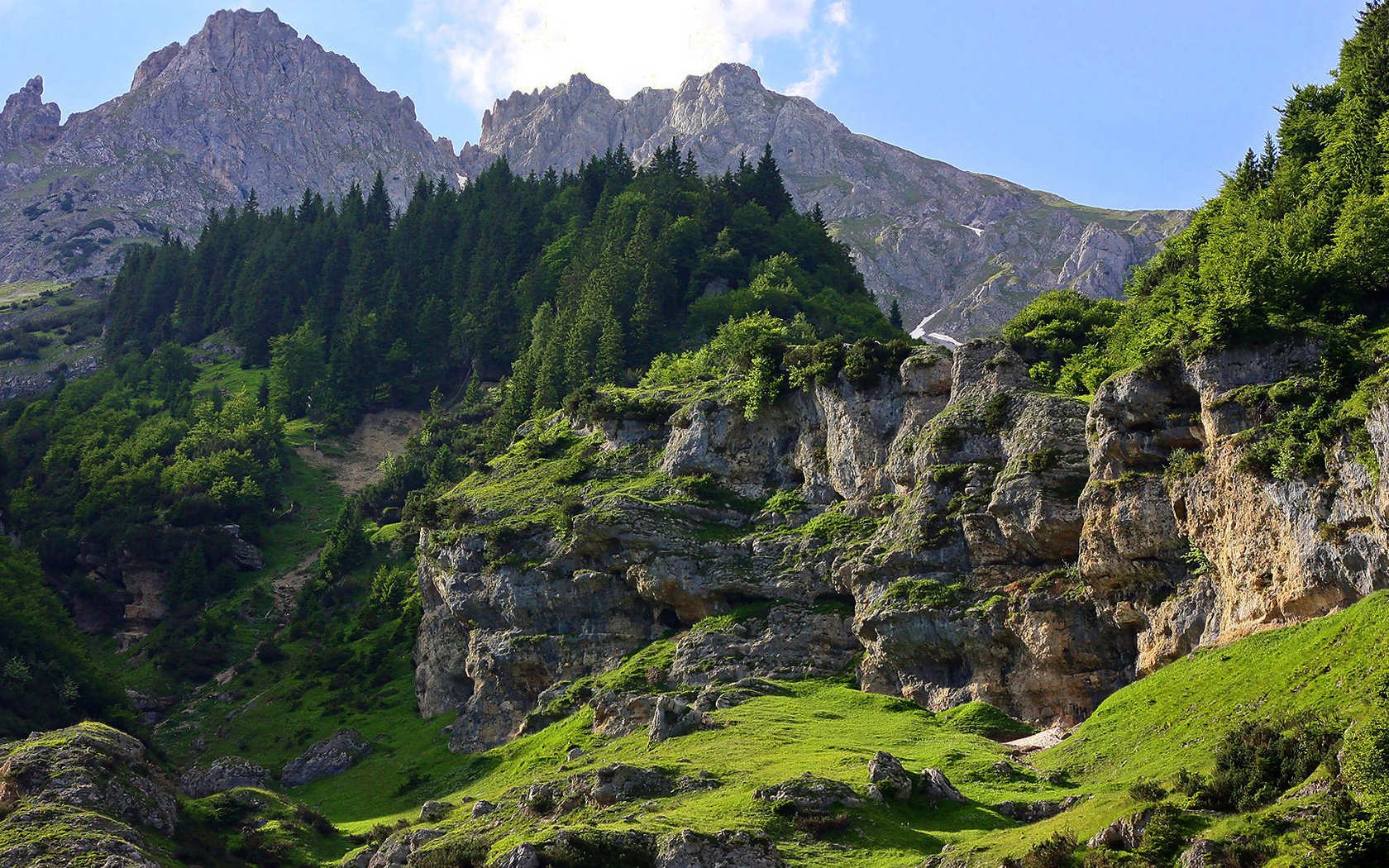 Обои деревья, горы, скалы, камни, зелень, лес, склон, мох, trees, mountains, rocks, stones, greens, forest, slope, moss разрешение 1920x1080 Загрузить