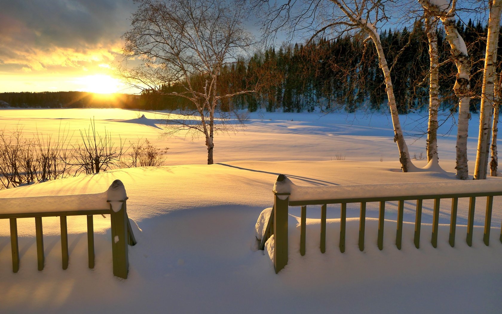 Обои снег, зима, snow, winter разрешение 5472x3648 Загрузить