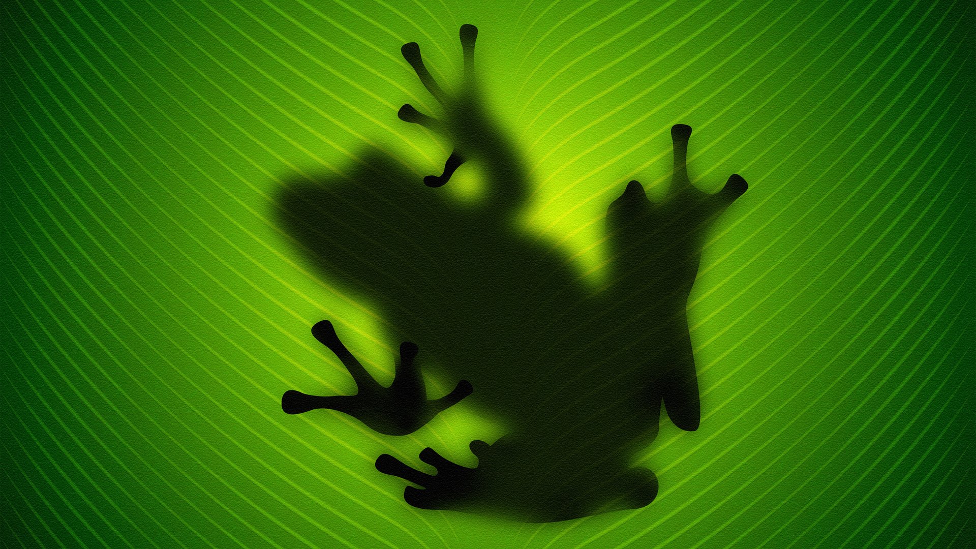 Обои зелёный, лист, лягушка, green, sheet, frog разрешение 2560x1600 Загрузить