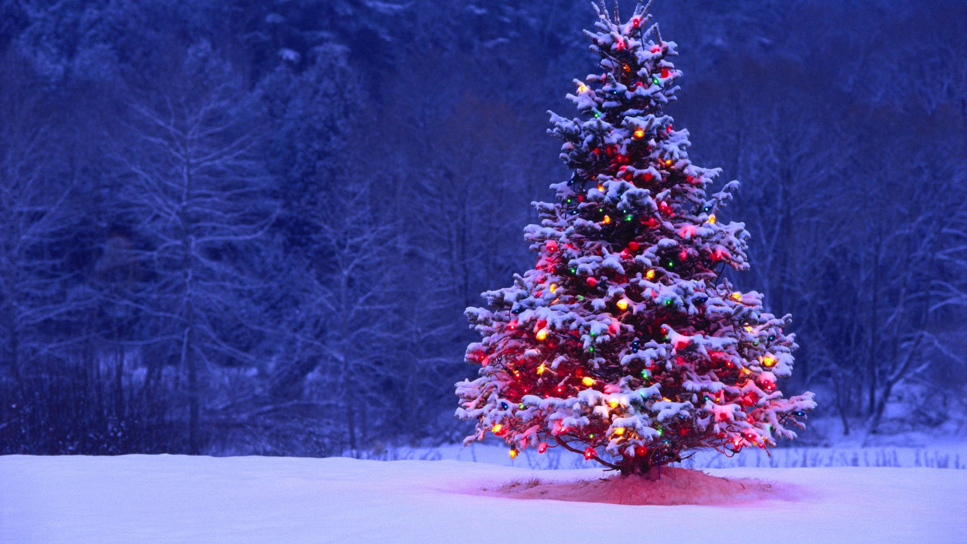 Обои огни, снег, елка, подсветка, lights, snow, tree, backlight разрешение 2000x1333 Загрузить