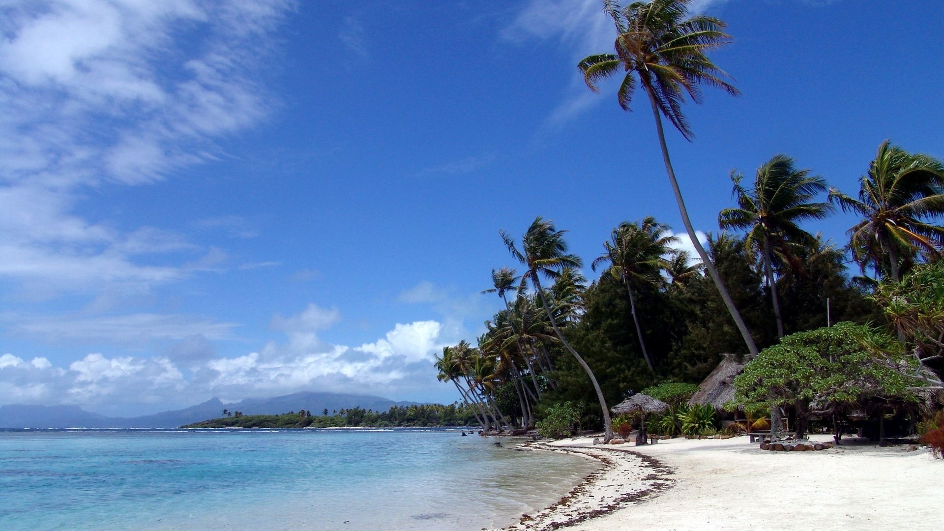 Обои песок, пляж, пальмы, sand, beach, palm trees разрешение 2560x1600 Загрузить