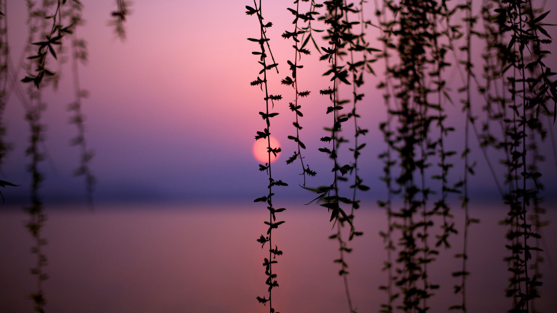 Обои озеро, закат, китай, lake, sunset, china разрешение 2560x1600 Загрузить