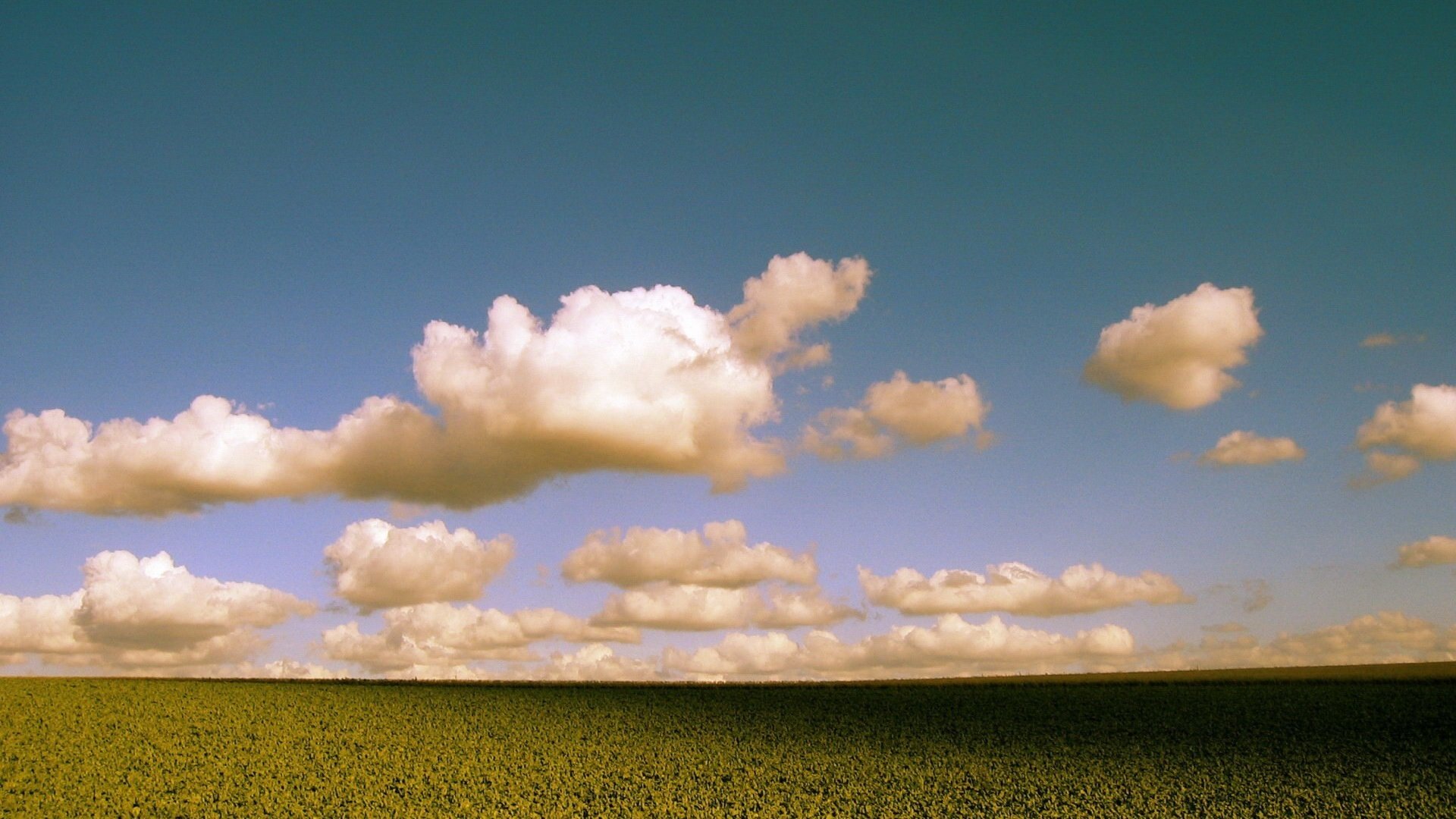 Обои облака, поле, цвет, clouds, field, color разрешение 1920x1440 Загрузить
