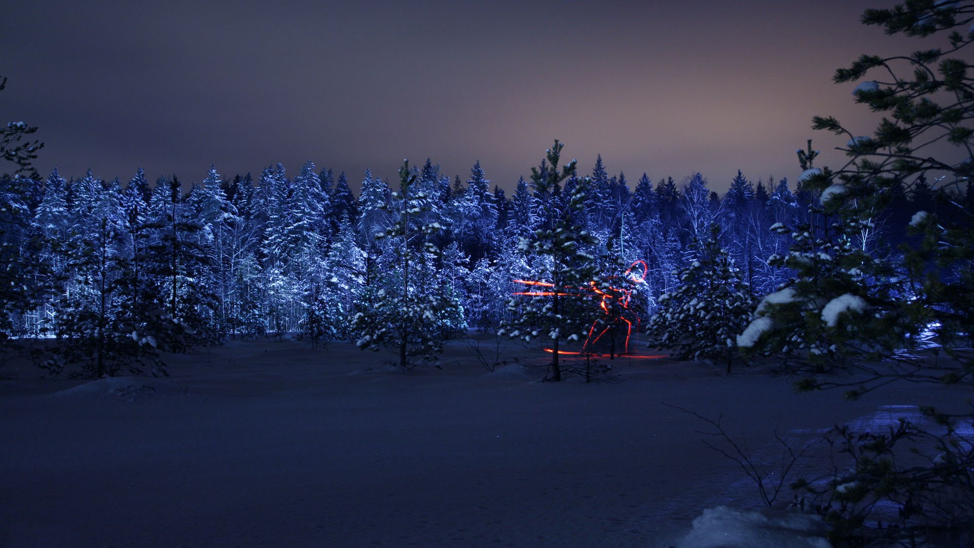 Обои ночь, лес, зима, олимпиада, силуэт, лыжник, night, forest, winter, olympics, silhouette, skier разрешение 1920x1280 Загрузить