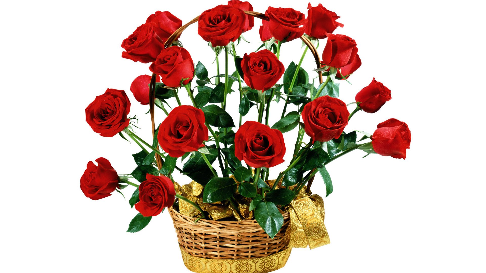 Обои цветы, розы, красные, букет, белый фон, подарок, flowers, roses, red, bouquet, white background, gift разрешение 1920x1200 Загрузить