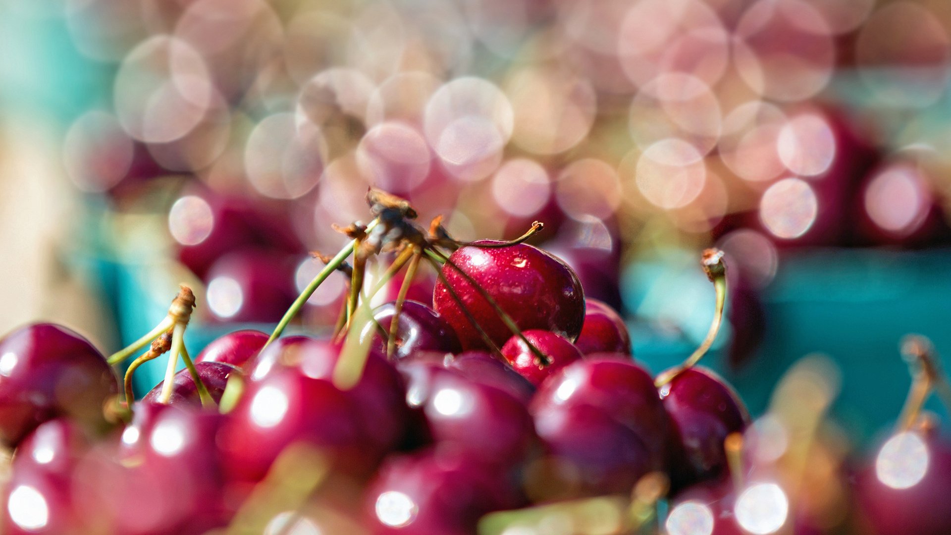 Обои ягода, блики, черешня, вишня, боке, berry, glare, cherry, bokeh разрешение 1920x1280 Загрузить