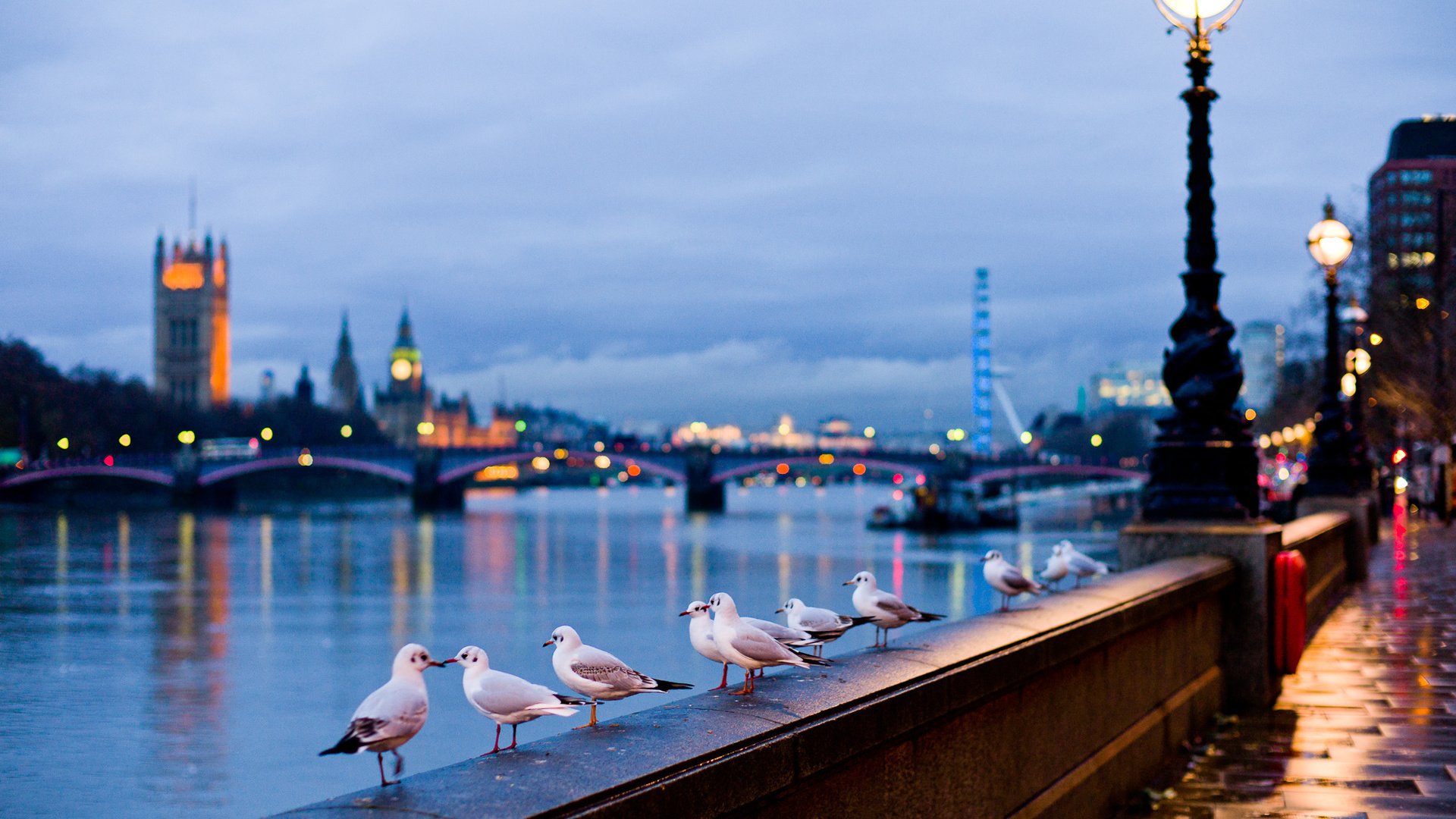 Обои лондон, птицы, англия, набережная, чайки, купола, london, birds, england, promenade, seagulls, dome разрешение 2000x1369 Загрузить