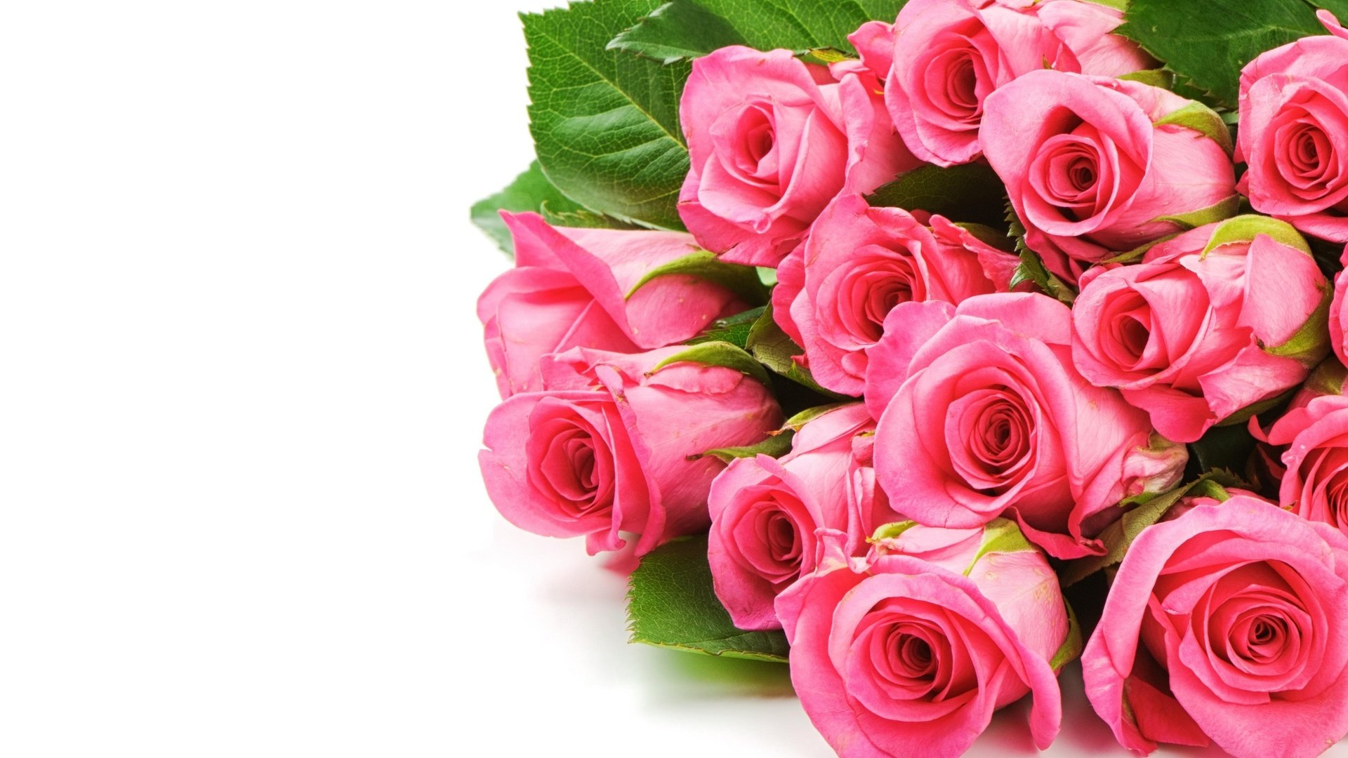 Обои цветы, розы, букет, розовый, flowers, roses, bouquet, pink разрешение 2560x1600 Загрузить