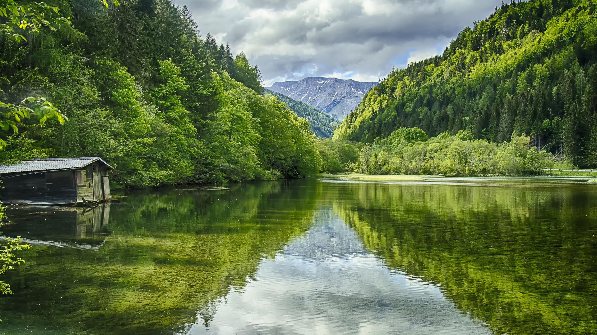 Обои деревья, вода, озеро, горы, природа, пейзаж, австрия, green lake, trees, water, lake, mountains, nature, landscape, austria разрешение 1920x1200 Загрузить