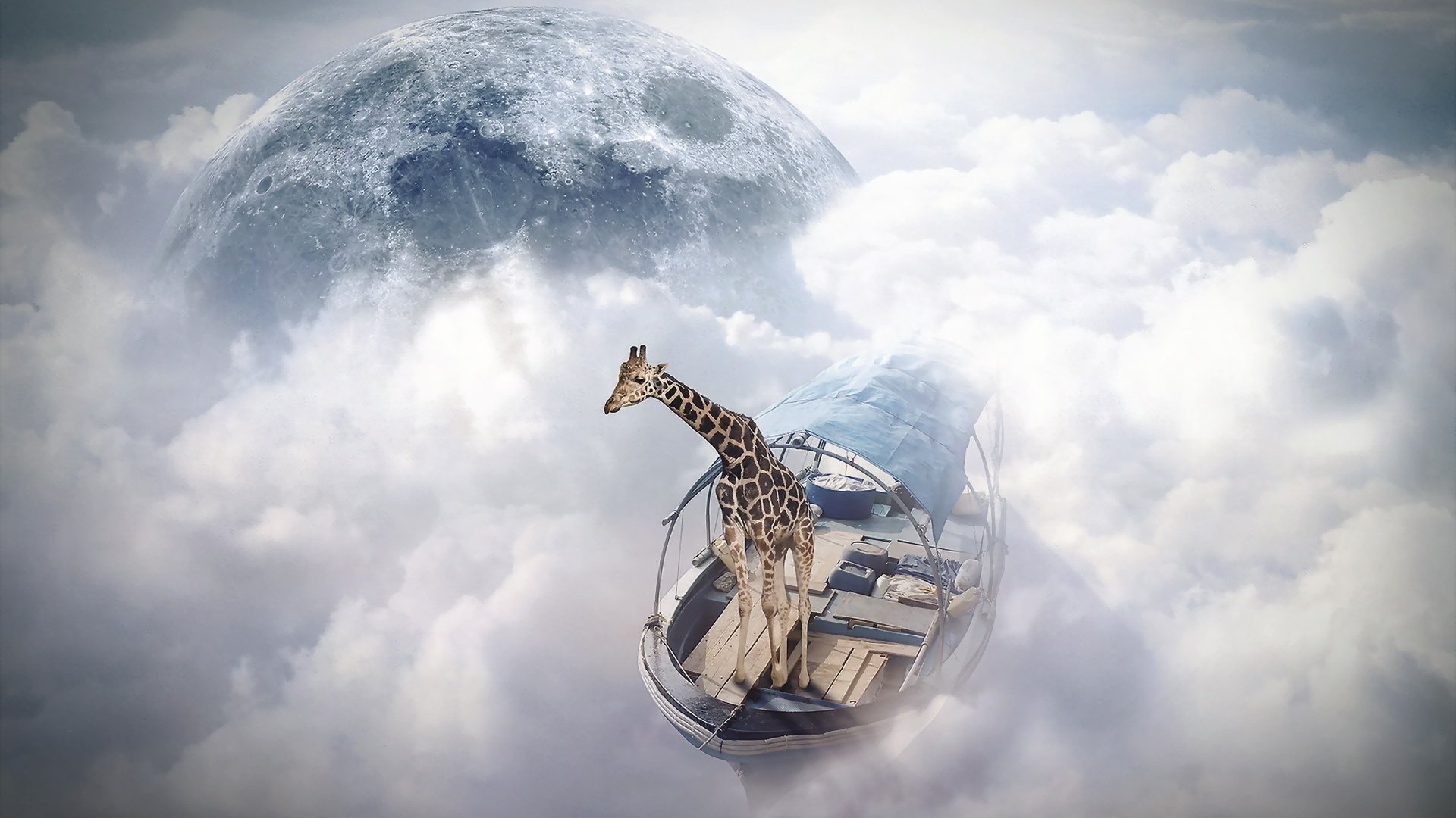 Обои жираф, photomanipulation, finearts, небо моряк, giraffe, sky sailor разрешение 1920x1200 Загрузить