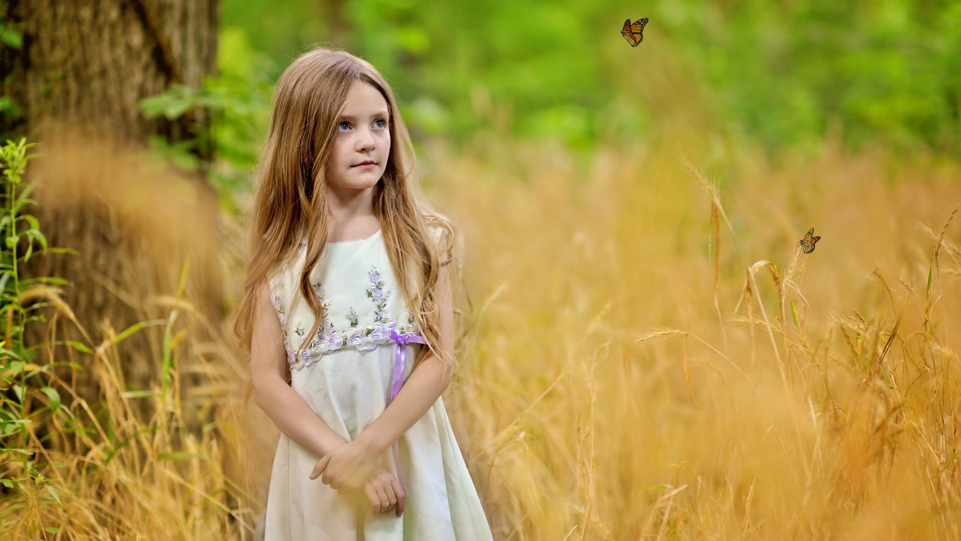 Обои природа, девочка, волосы, бабочки, nature, girl, hair, butterfly разрешение 1920x1200 Загрузить