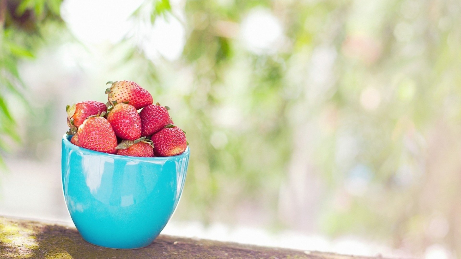 Обои листья, фон, клубника, размытость, ягоды, чашка, голубая, leaves, background, strawberry, blur, berries, cup, blue разрешение 1920x1275 Загрузить