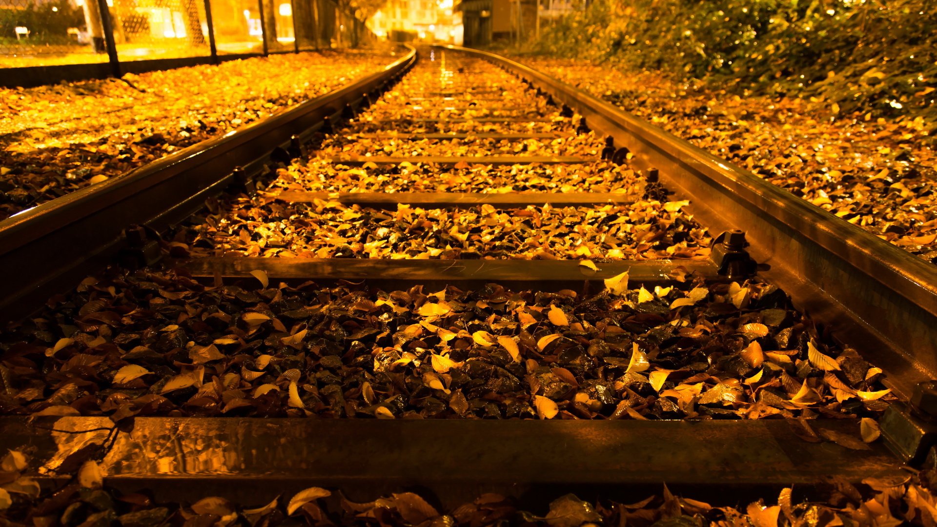 Обои деревья, огни, железная дорога, листья, город, осень, trees, lights, railroad, leaves, the city, autumn разрешение 2560x1600 Загрузить