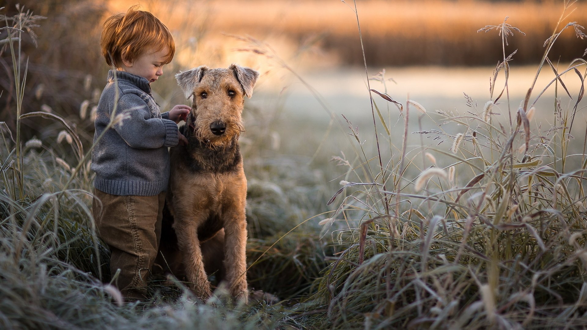 Обои собака, мальчик, друзья, dog, boy, friends разрешение 2047x1265 Загрузить