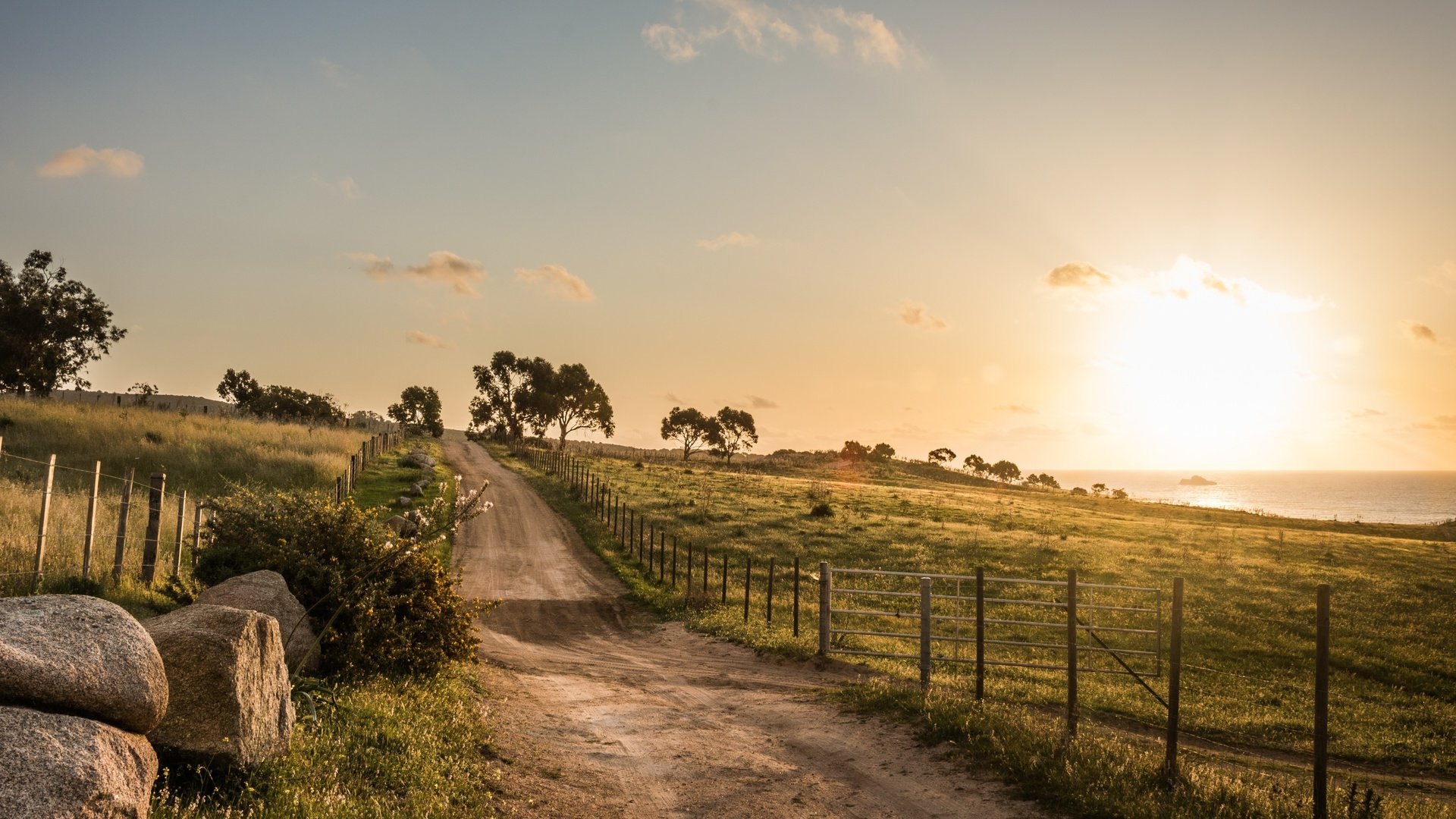 Обои дорога, деревья, утро, поля, road, trees, morning, field разрешение 3872x2581 Загрузить