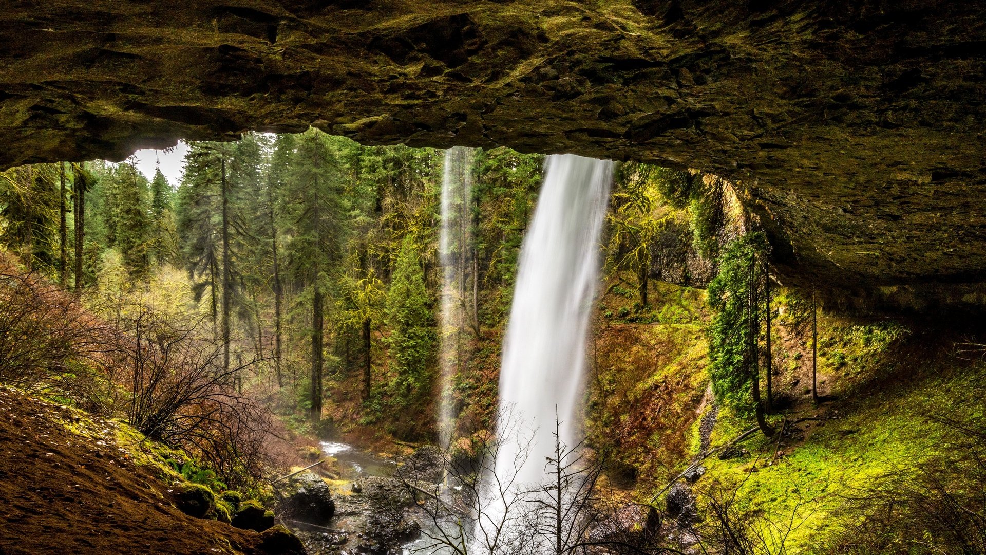 Обои деревья, камни, лес, скала, ручей, водопад, сша, silver falls state park, trees, stones, forest, rock, stream, waterfall, usa разрешение 2880x1923 Загрузить