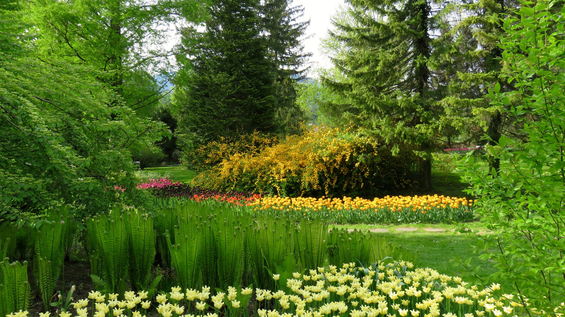 Обои цветы, трава, деревья, зелень, парк, словения, mozirski gaj, flowers, grass, trees, greens, park, slovenia разрешение 3000x2250 Загрузить