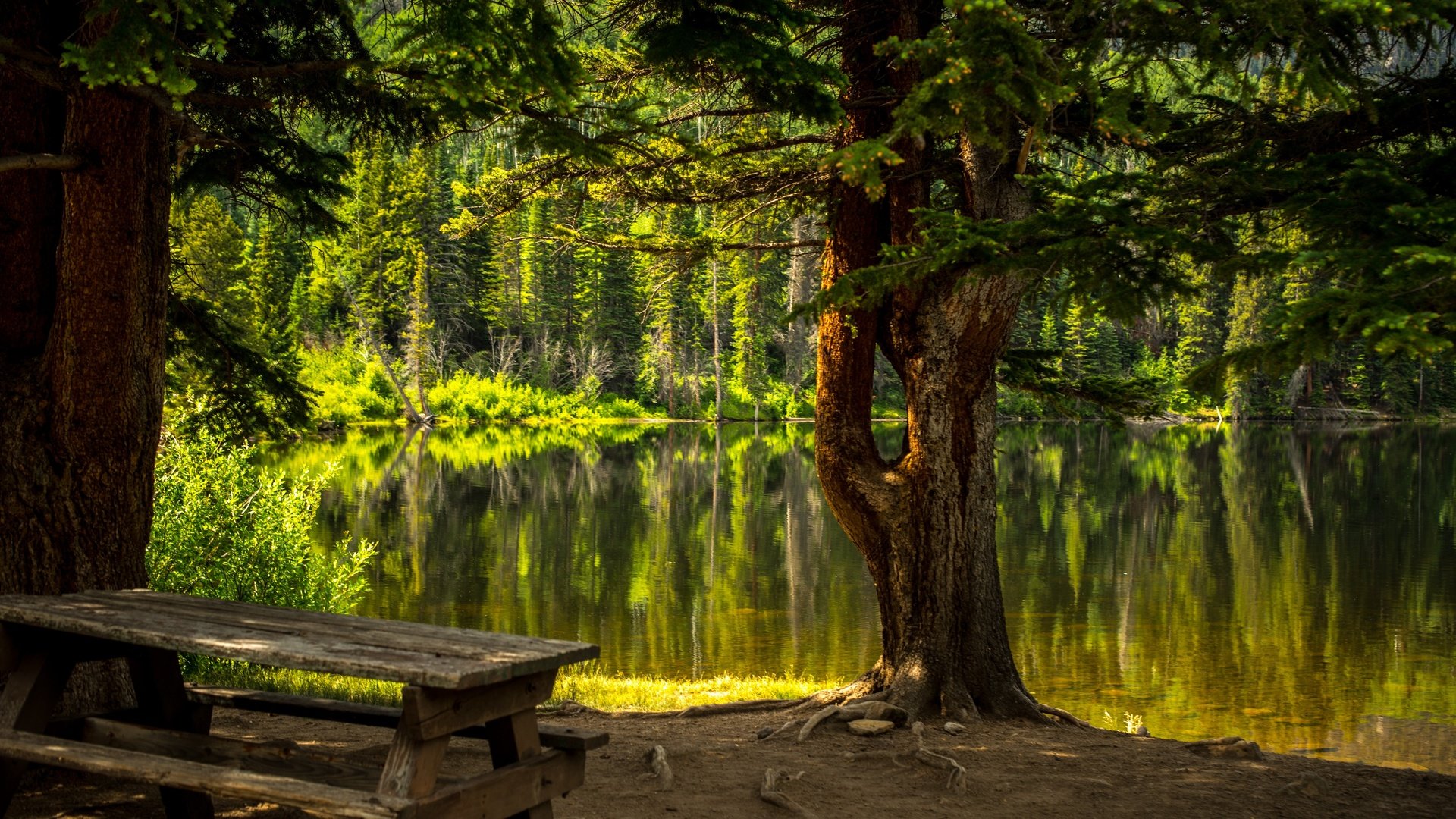 Обои деревья, вода, озеро, природа, лес, стол, скамейка, trees, water, lake, nature, forest, table, bench разрешение 6016x4016 Загрузить