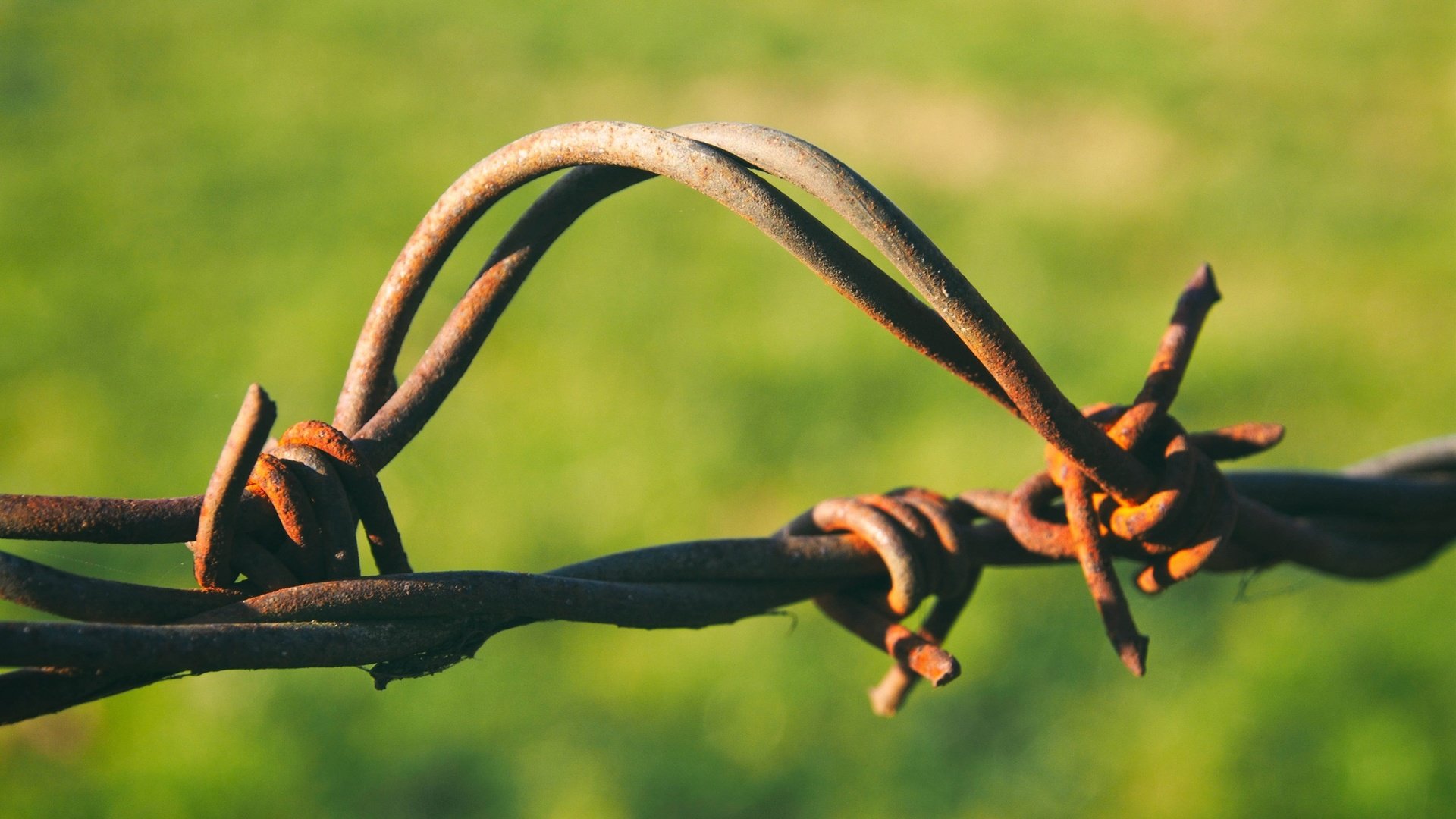 Обои металл, фон, проволока, забор, ржавчина, ржавая, metal, background, wire, the fence, rust, rusty разрешение 3000x2250 Загрузить