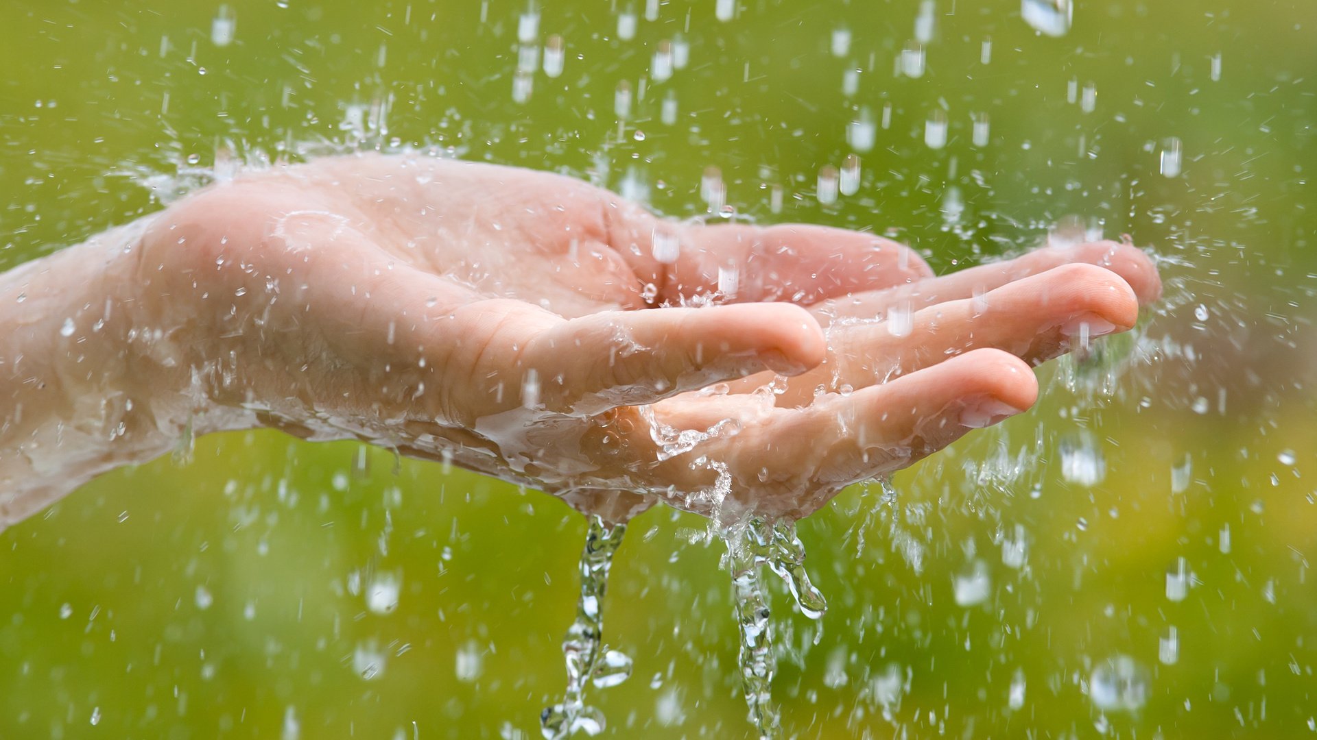 Обои вода, рука, макро, капли, брызги, дождь, родимов павел, water, hand, macro, drops, squirt, rain, the pavel rodimov разрешение 2880x1800 Загрузить